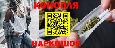 шишки Боровичи