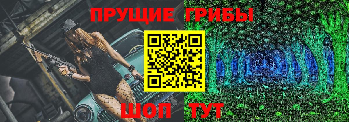 купить наркоту  Галлюциногенные грибы Cubensis  Вход с VPN  Железногорск 